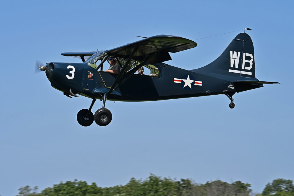 Grand Champion Warbird