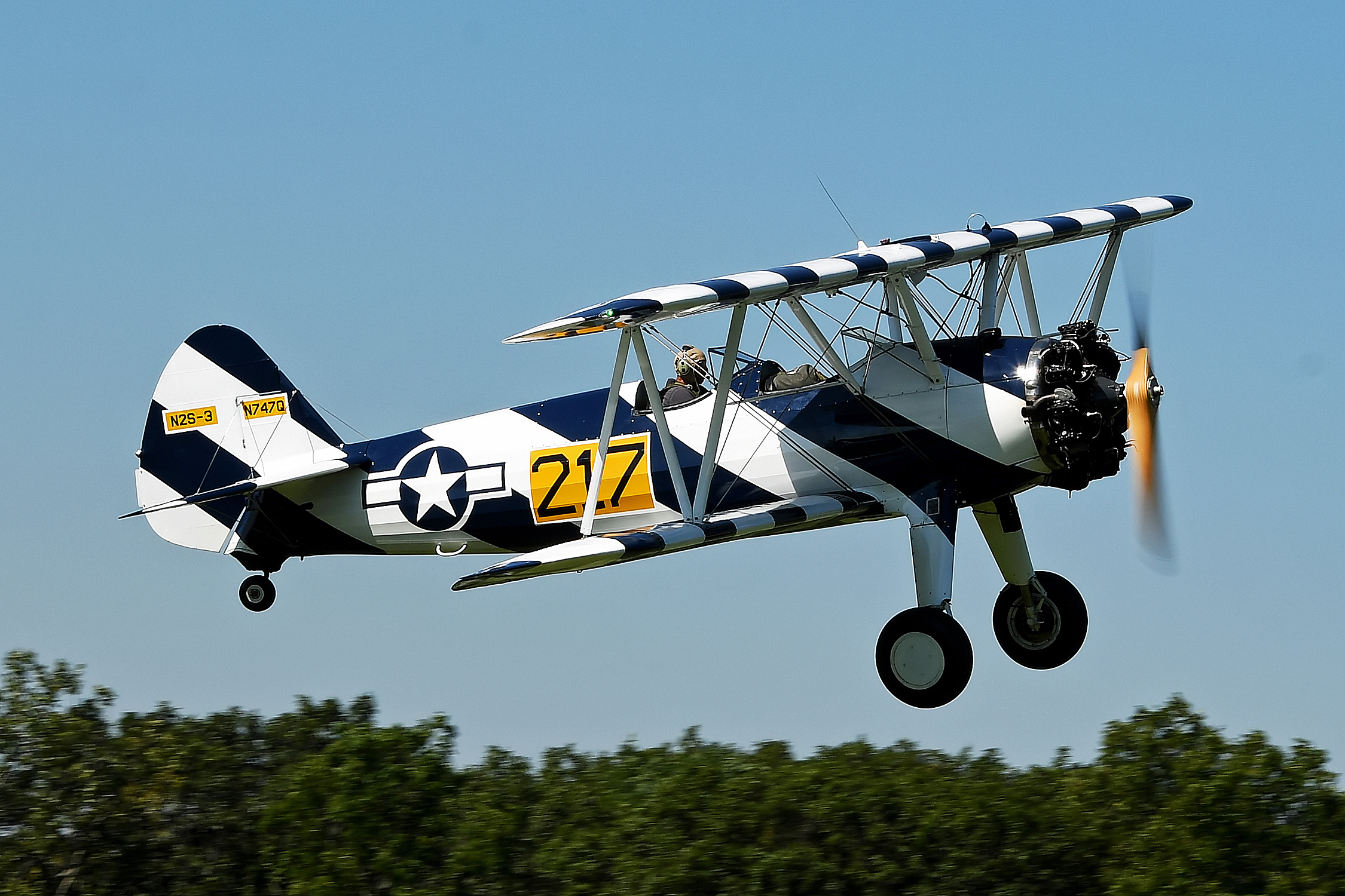 Sweepstakes Warbird